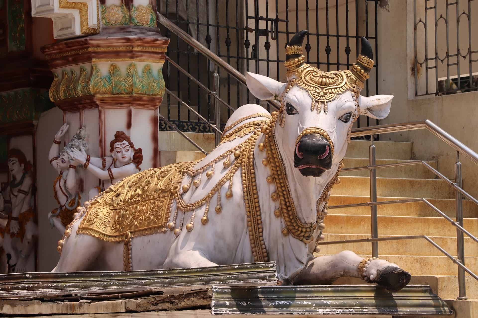 Who is the Hindu god of animals?